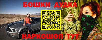 apvp Лесосибирск