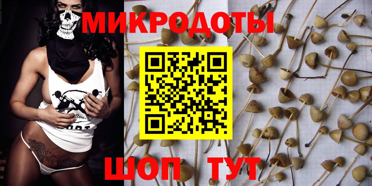 Тимашёвск  Галлюциногенные грибы MAGIC MUSHROOMS  Вход с VPN  Галлюциногенные грибы прущие грибы 